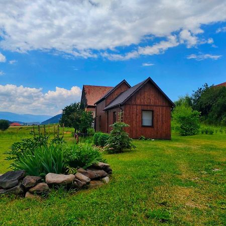 Organicle Lodge Sincraieni Exterior foto