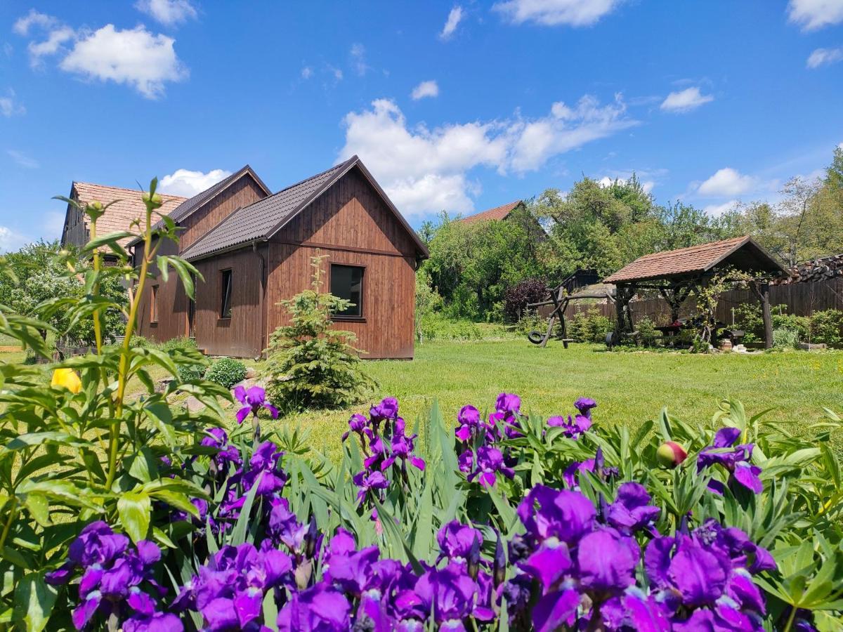 Organicle Lodge Sincraieni Exterior foto