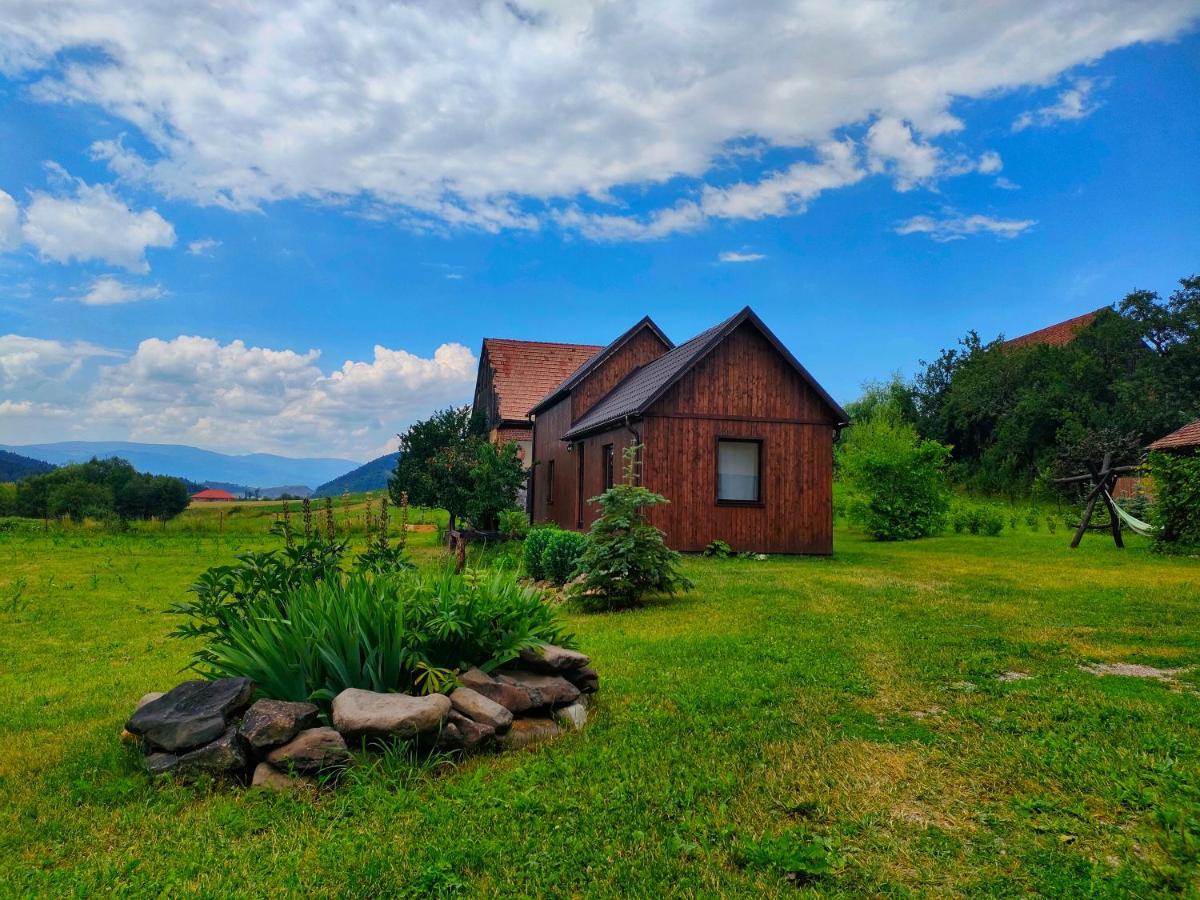 Organicle Lodge Sincraieni Exterior foto